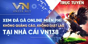 4. Xem Da Ga Online Mien Phi Khong Quang Cao