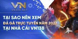 5. Tai Sao Nen Xem Da Ga Truc Tuyen Nam 2022 Tai Nha Cai VN138