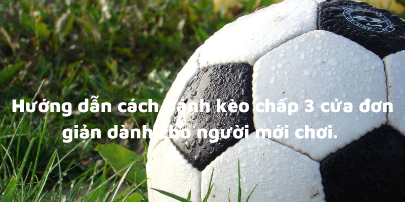 Kèo Chấp 3 Cửa