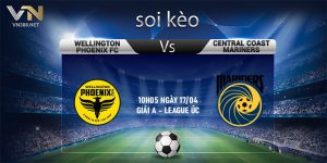 15. Soi keo Wellington Phoenix FC vs Central Coast Mariners 10h05 ngay 1704 giai A League Uc