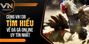 19. Cung VN138 Tim Hieu Ve Da Ga Online Uy Tin Nhat