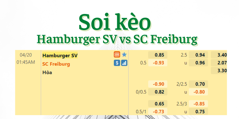 Soi kèo Hamburger SV vs SC Freiburg