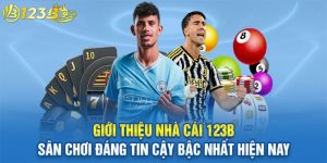 Đôi nét về nhà cái 123b